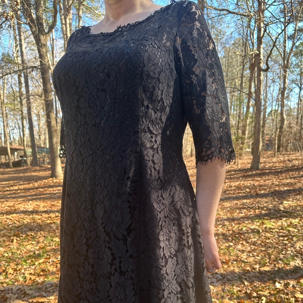 Eliza J Lace Fit & Flare Cocktail Dress